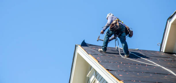 Roof Waterproofing Services in Chicago, IL